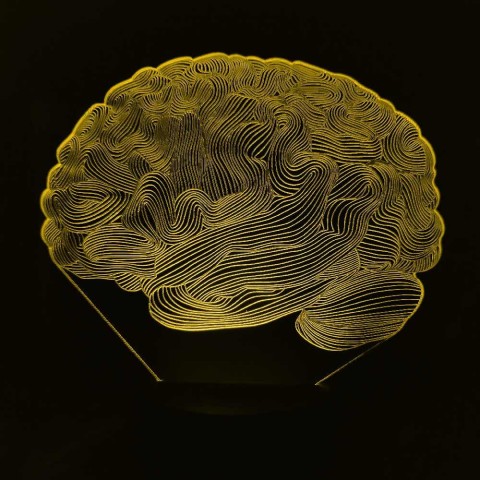 Акриловий 3D світильник-нічник мозок
