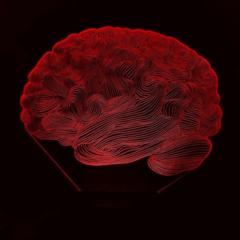 Акриловий 3D світильник-нічник мозок