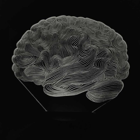 Акриловий 3D світильник-нічник мозок
