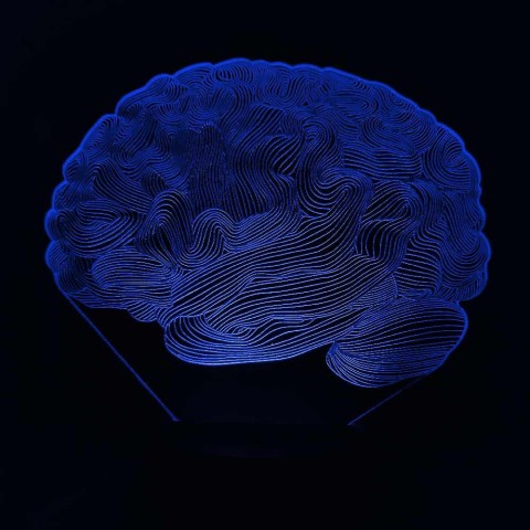 Акриловий 3D світильник-нічник мозок