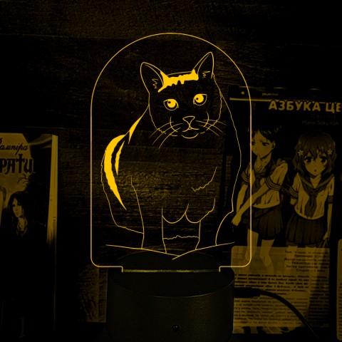 Акриловий 3D світильник-нічник Кіт Бендер Мем