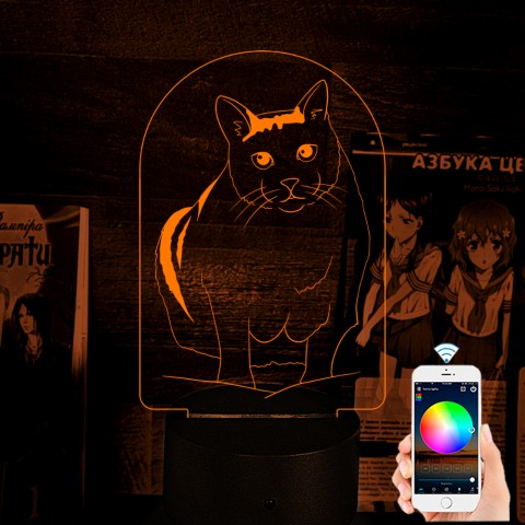 Акриловий 3D світильник-нічник Кіт Бендер Мем